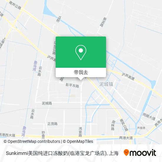 Sunkimmi美国纯进口冻酸奶(临港宝龙广场店)地图