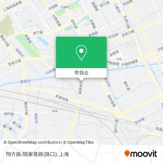 翔方路/陆家巷路(路口)地图