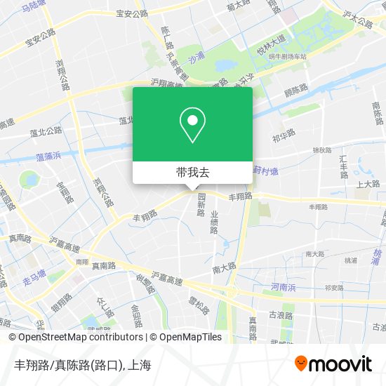 丰翔路/真陈路(路口)地图