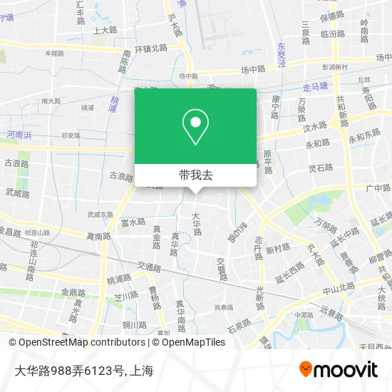 大华路988弄6123号地图