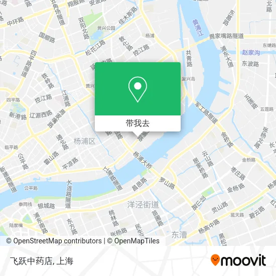 飞跃中药店地图
