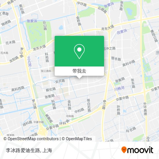 李冰路爱迪生路地图