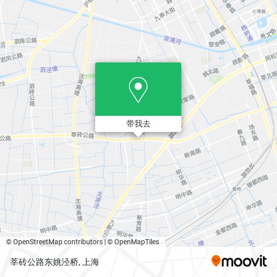 莘砖公路东姚泾桥地图