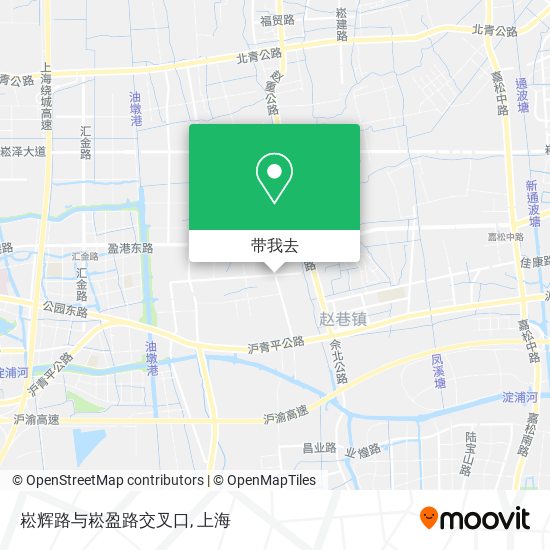 崧辉路与崧盈路交叉口地图