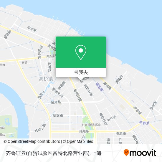 齐鲁证券(自贸试验区富特北路营业部)地图