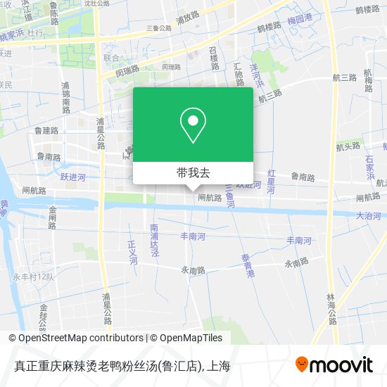 真正重庆麻辣烫老鸭粉丝汤(鲁汇店)地图