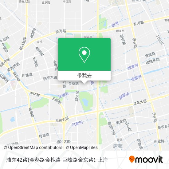 浦东42路(金葵路金槐路-巨峰路金京路)地图