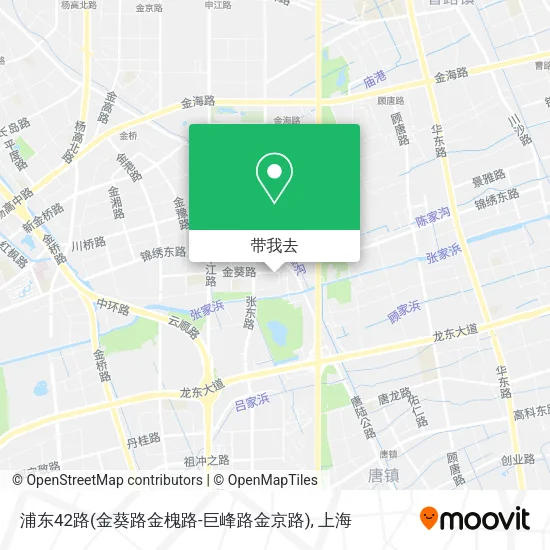 浦东42路(金葵路金槐路-巨峰路金京路)地图