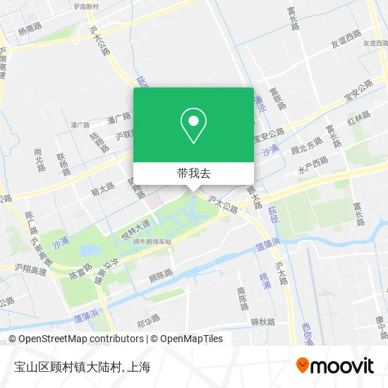 宝山区顾村镇大陆村地图