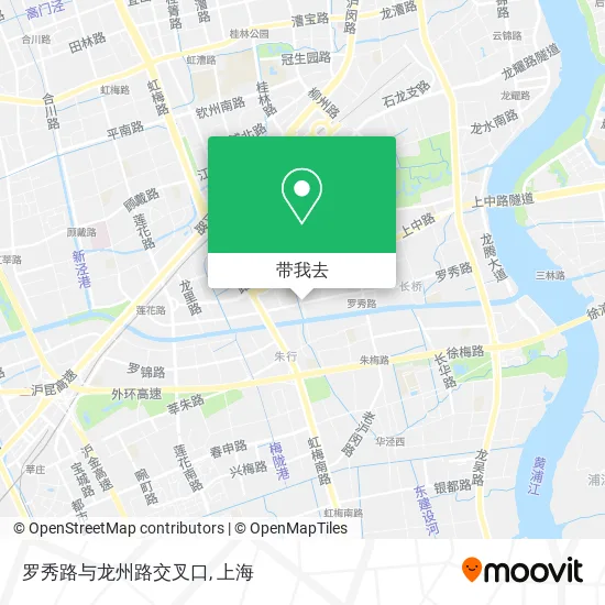 罗秀路与龙州路交叉口地图