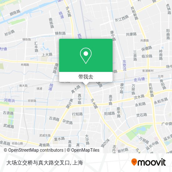 大场立交桥与真大路交叉口地图