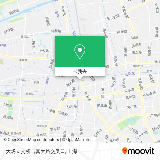 大场立交桥与真大路交叉口地图