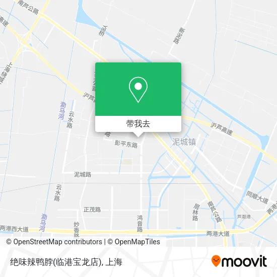 绝味辣鸭脖(临港宝龙店)地图