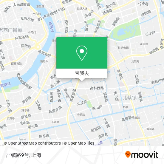 严镇路9号地图