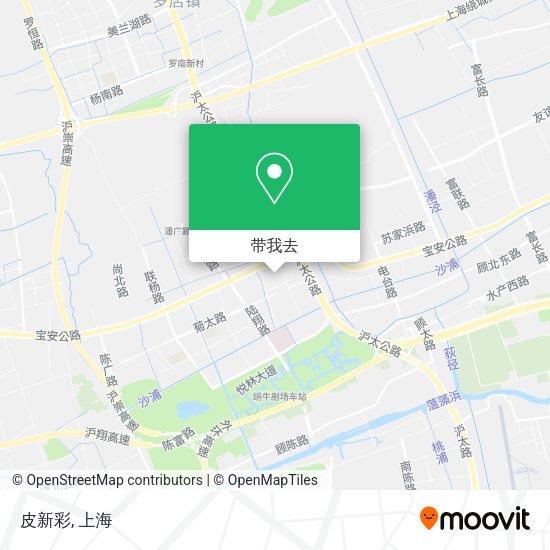 皮新彩地图