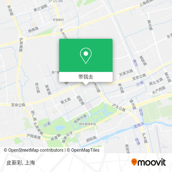 皮新彩地图