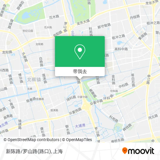 新陈路/罗山路(路口)地图