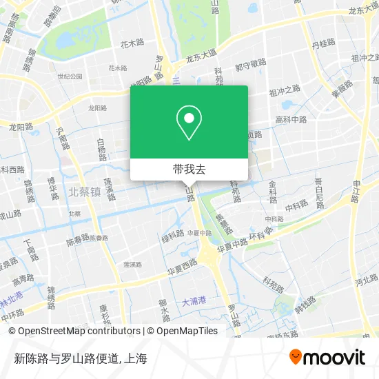 新陈路与罗山路便道地图