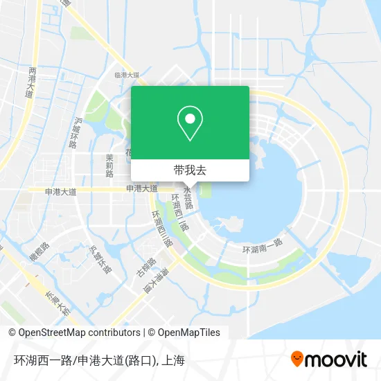 环湖西一路/申港大道(路口)地图