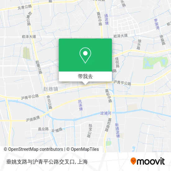 垂姚支路与沪青平公路交叉口地图