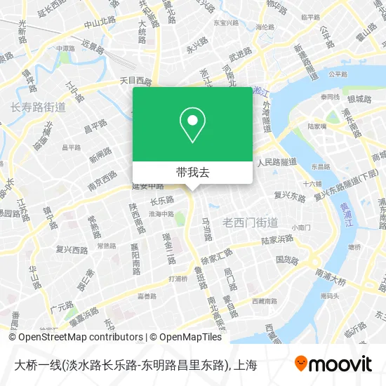 大桥一线(淡水路长乐路-东明路昌里东路)地图