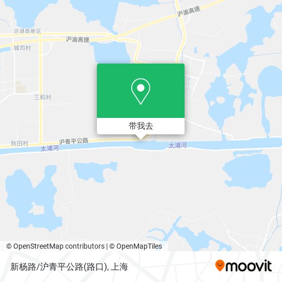 新杨路/沪青平公路(路口)地图