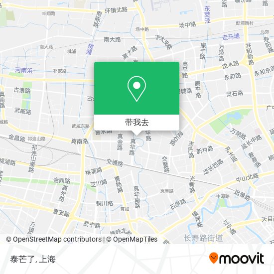 泰芒了地图