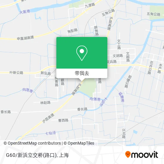 G60/新浜立交桥(路口)地图
