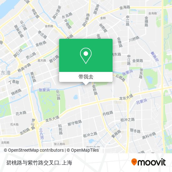 碧桃路与紫竹路交叉口地图