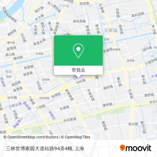 三林世博家园大道站路94弄4幢地图