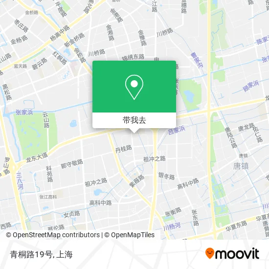 青桐路19号地图