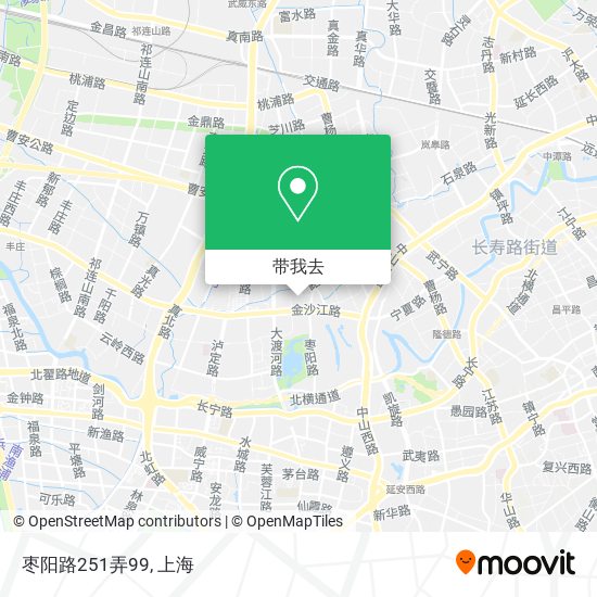 枣阳路251弄99地图