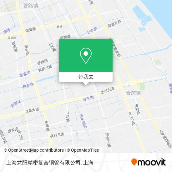 上海龙阳精密复合铜管有限公司地图
