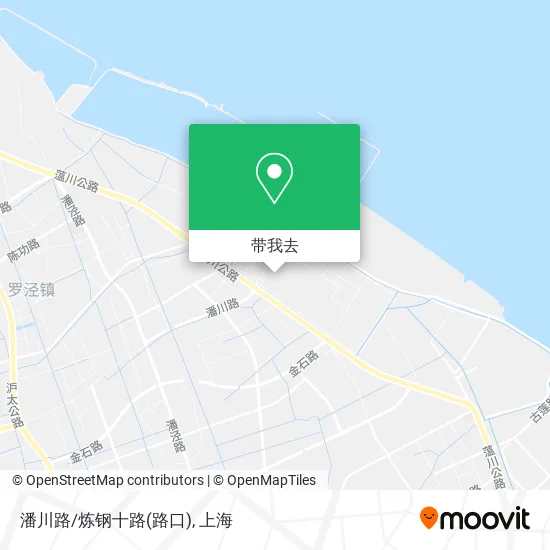 潘川路/炼钢十路(路口)地图