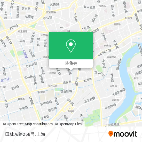 田林东路258号地图