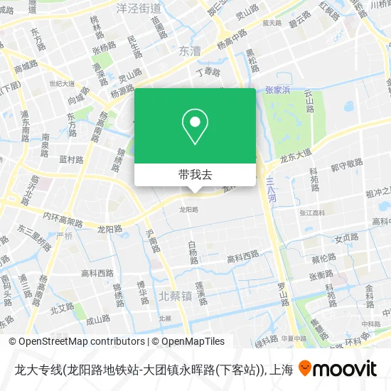 龙大专线(龙阳路地铁站-大团镇永晖路(下客站))地图