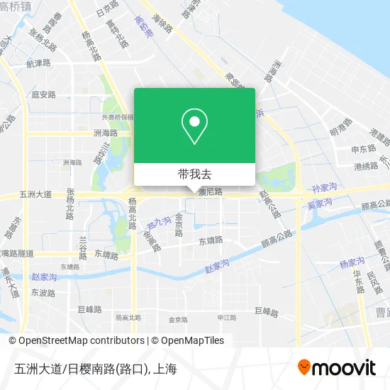 五洲大道/日樱南路(路口)地图