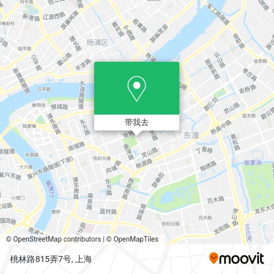 桃林路815弄7号地图