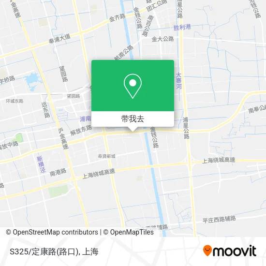 S325/定康路(路口)地图