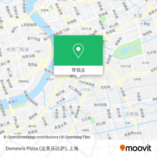 Domino's Pizza (达美乐比萨)地图