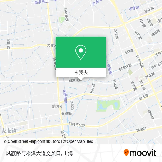 凤霞路与崧泽大道交叉口地图