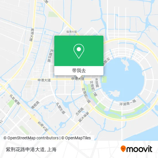 紫荆花路申港大道地图
