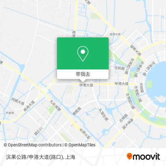 滨果公路/申港大道(路口)地图