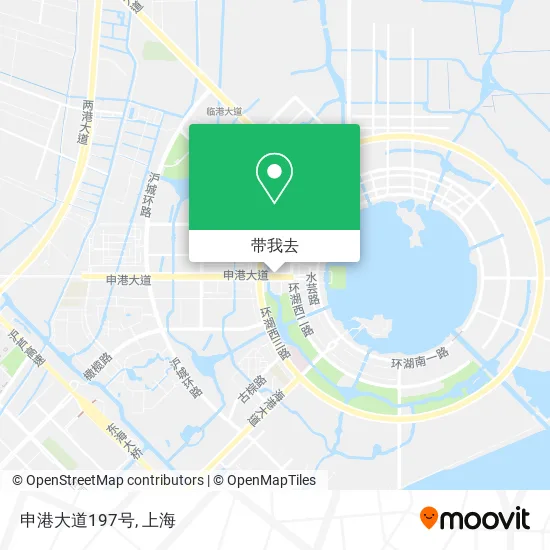 申港大道197号地图
