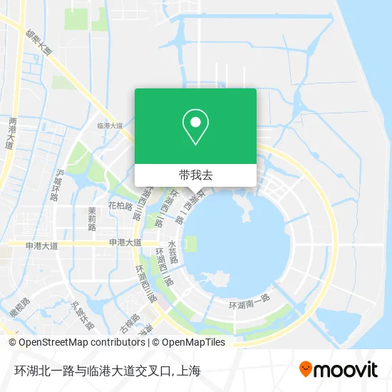 环湖北一路与临港大道交叉口地图