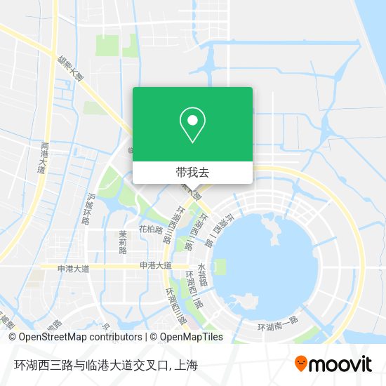 环湖西三路与临港大道交叉口地图