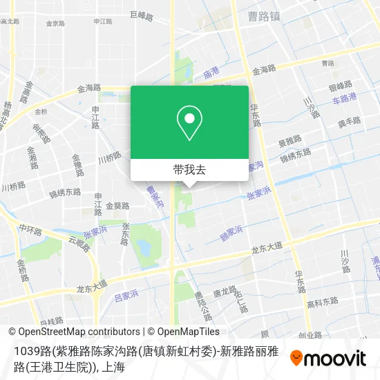1039路(紫雅路陈家沟路(唐镇新虹村委)-新雅路丽雅路(王港卫生院))地图
