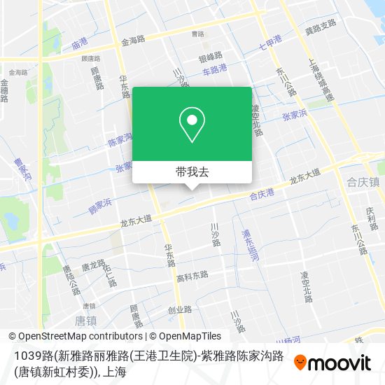 1039路(新雅路丽雅路(王港卫生院)-紫雅路陈家沟路(唐镇新虹村委))地图