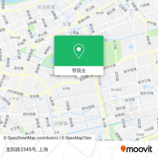 龙阳路2345号地图
