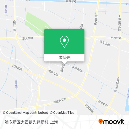 浦东新区大团镇先锋新村地图